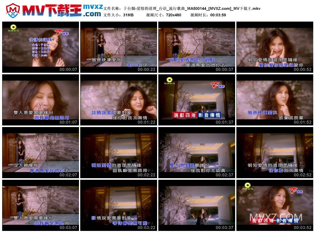 于台烟-爱情的道理_台语_流行歌曲_MA500144